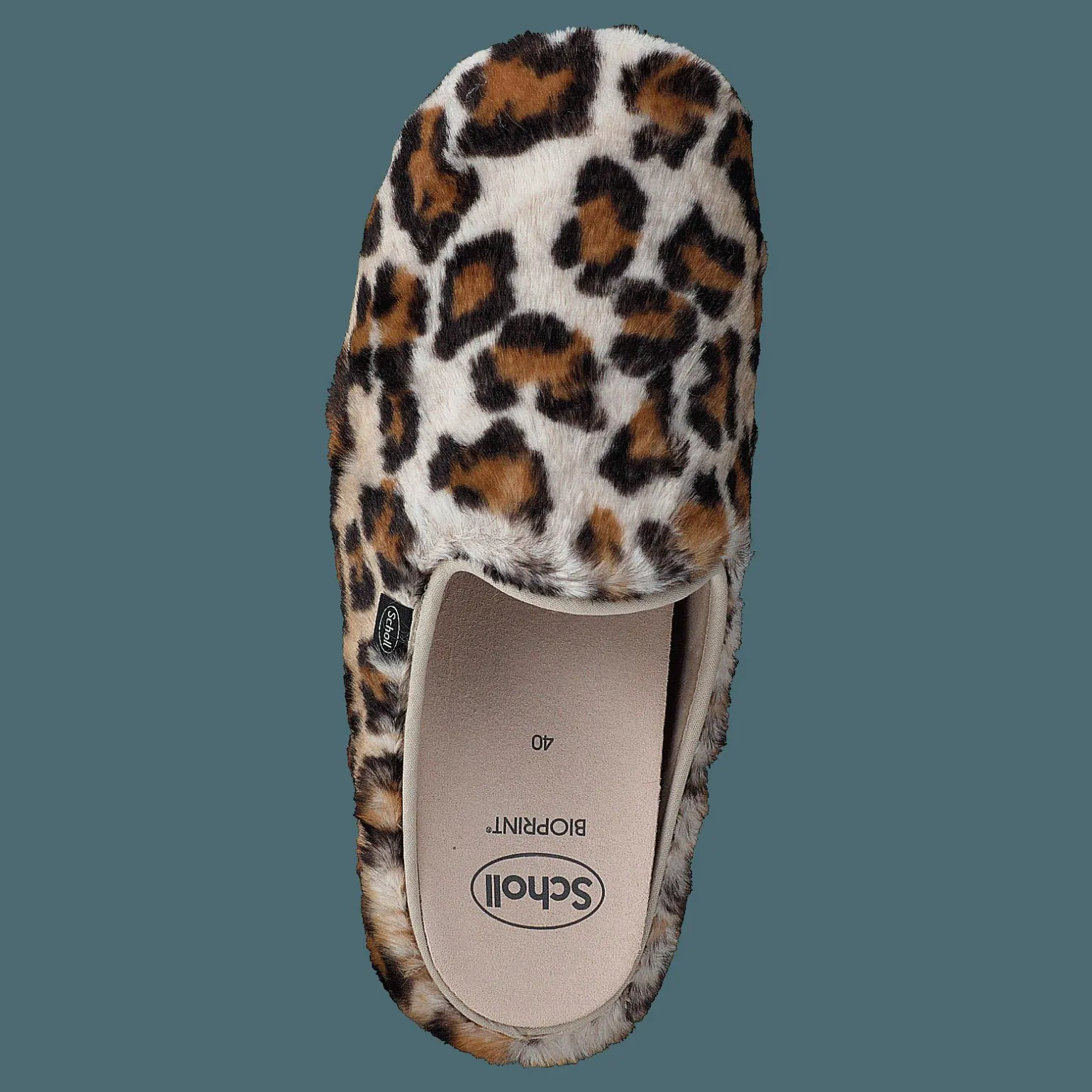 Maddy Leopard