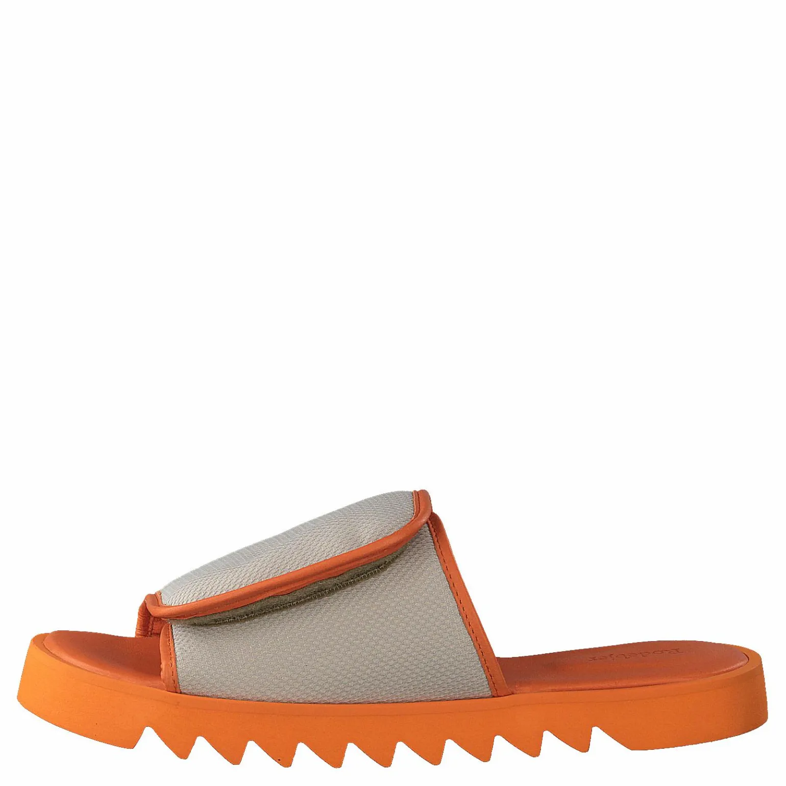 Micki Camel
