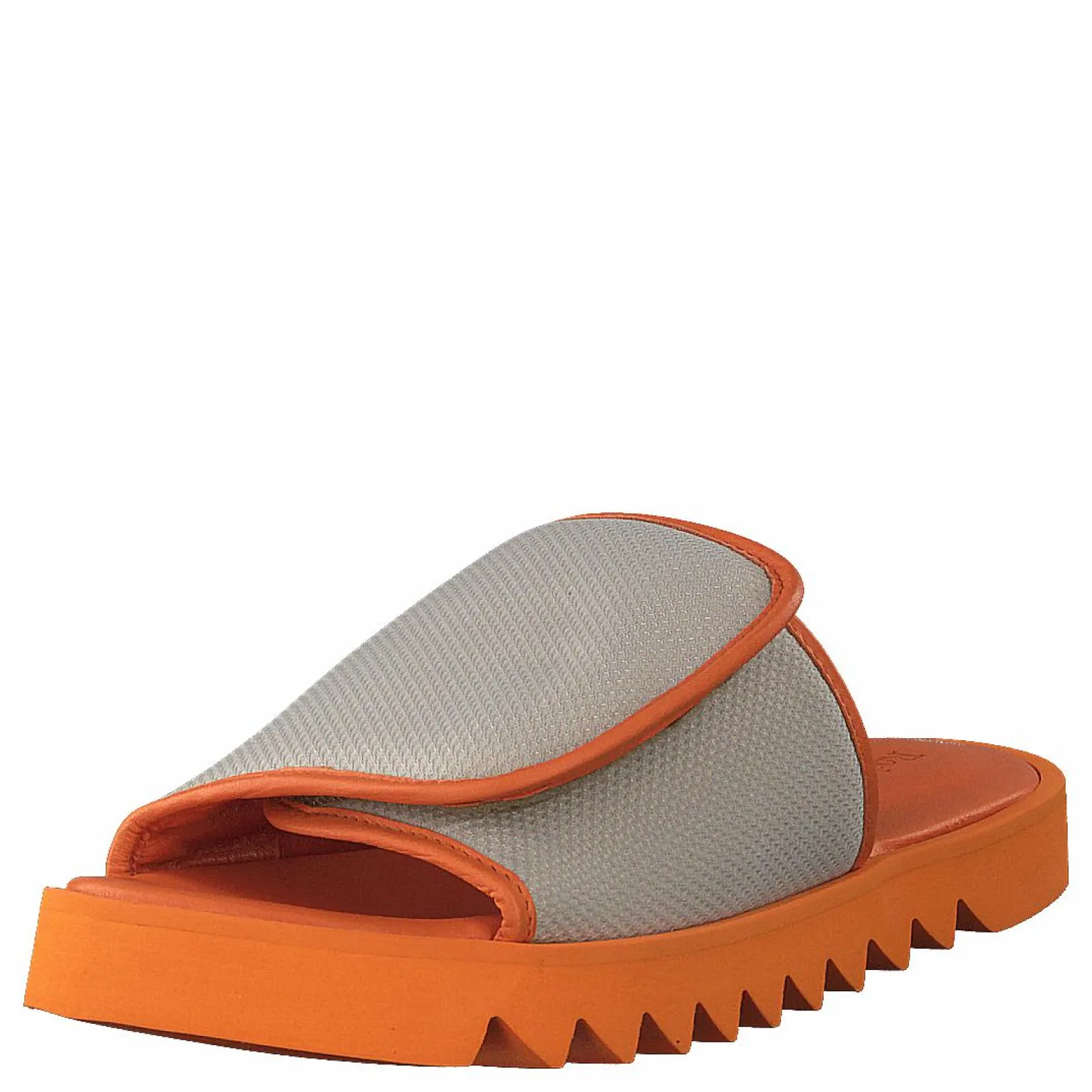 Micki Camel