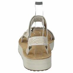 Midform Universal Geometric Birch