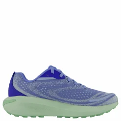 Morphlite Conrflower/pear