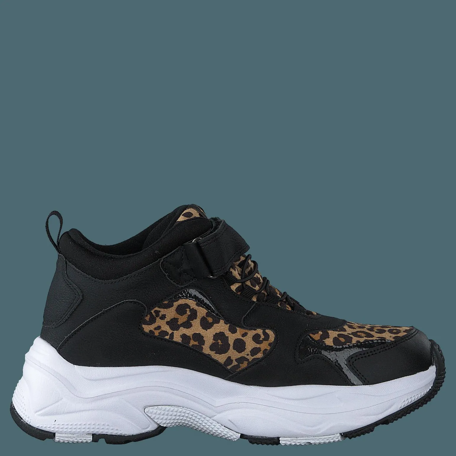Narken Leopard