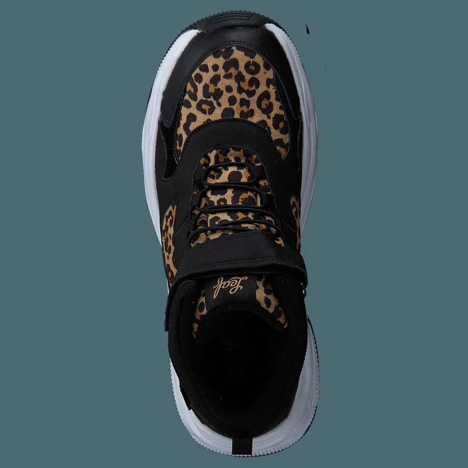 Narken Leopard