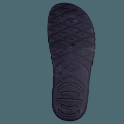 Nautilus