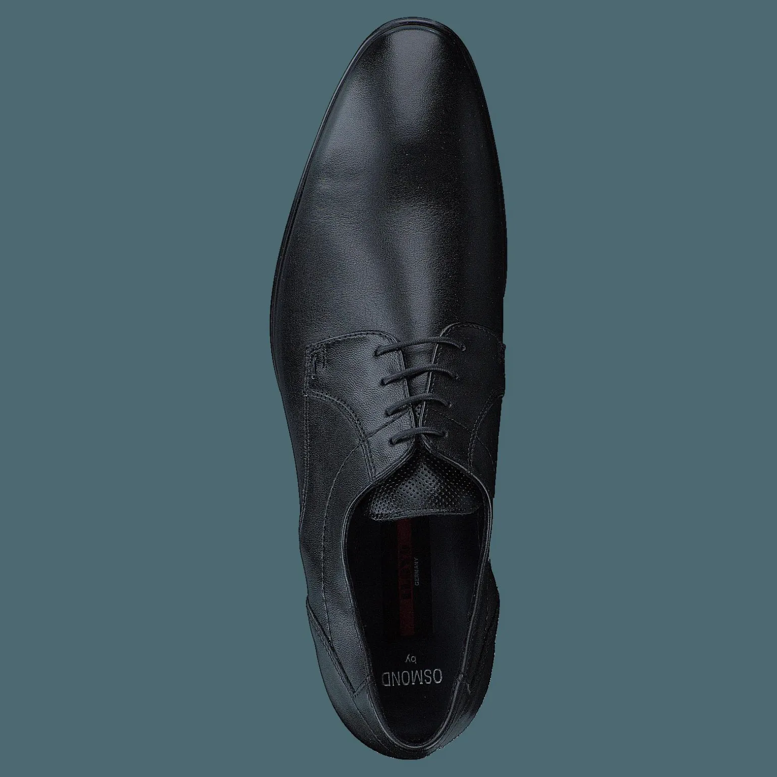 Osmond Black