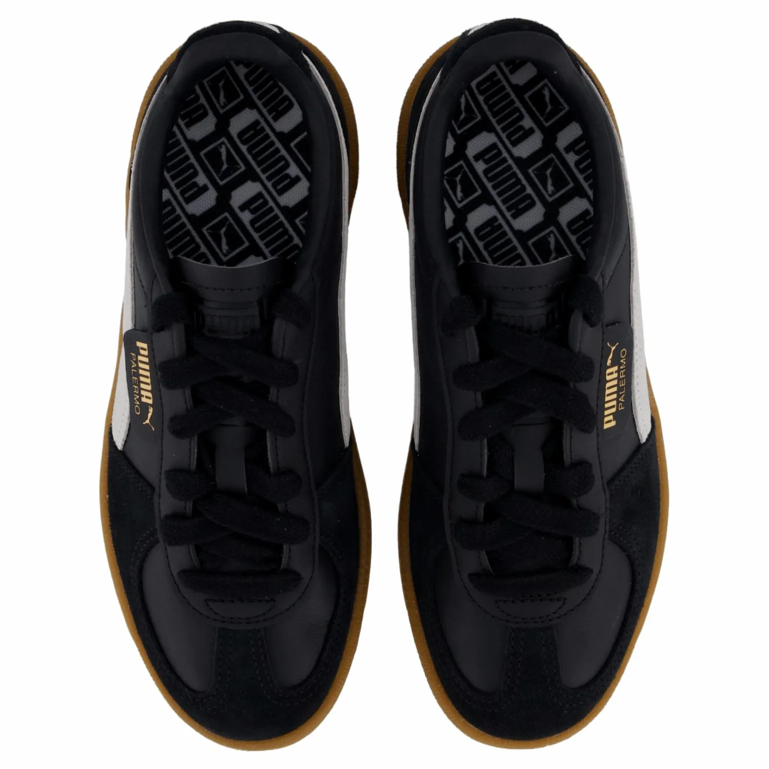Palermo Black-feather Gray-gum