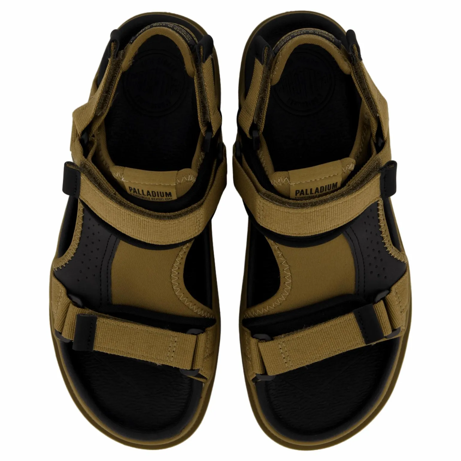 Palladune Og Sport Olive