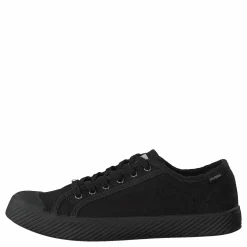 Pallaphoenix Og Cvs Black