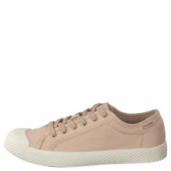 Pallaphoenix Og Cvs Rose Dust