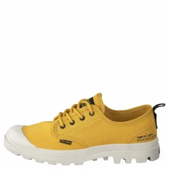 Pampa Ox Htg Supply Spicy Mustard