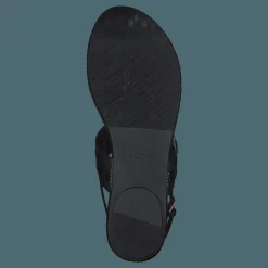 Pandra Black