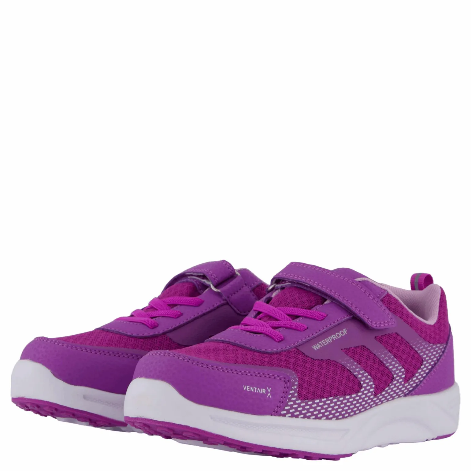 Perry Purple