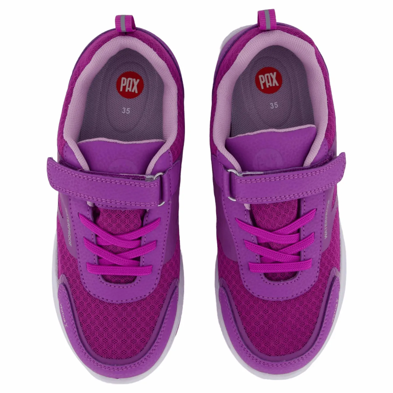 Perry Purple
