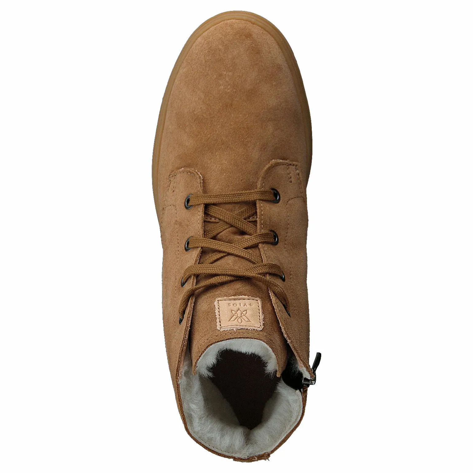 Picea +vios Brown