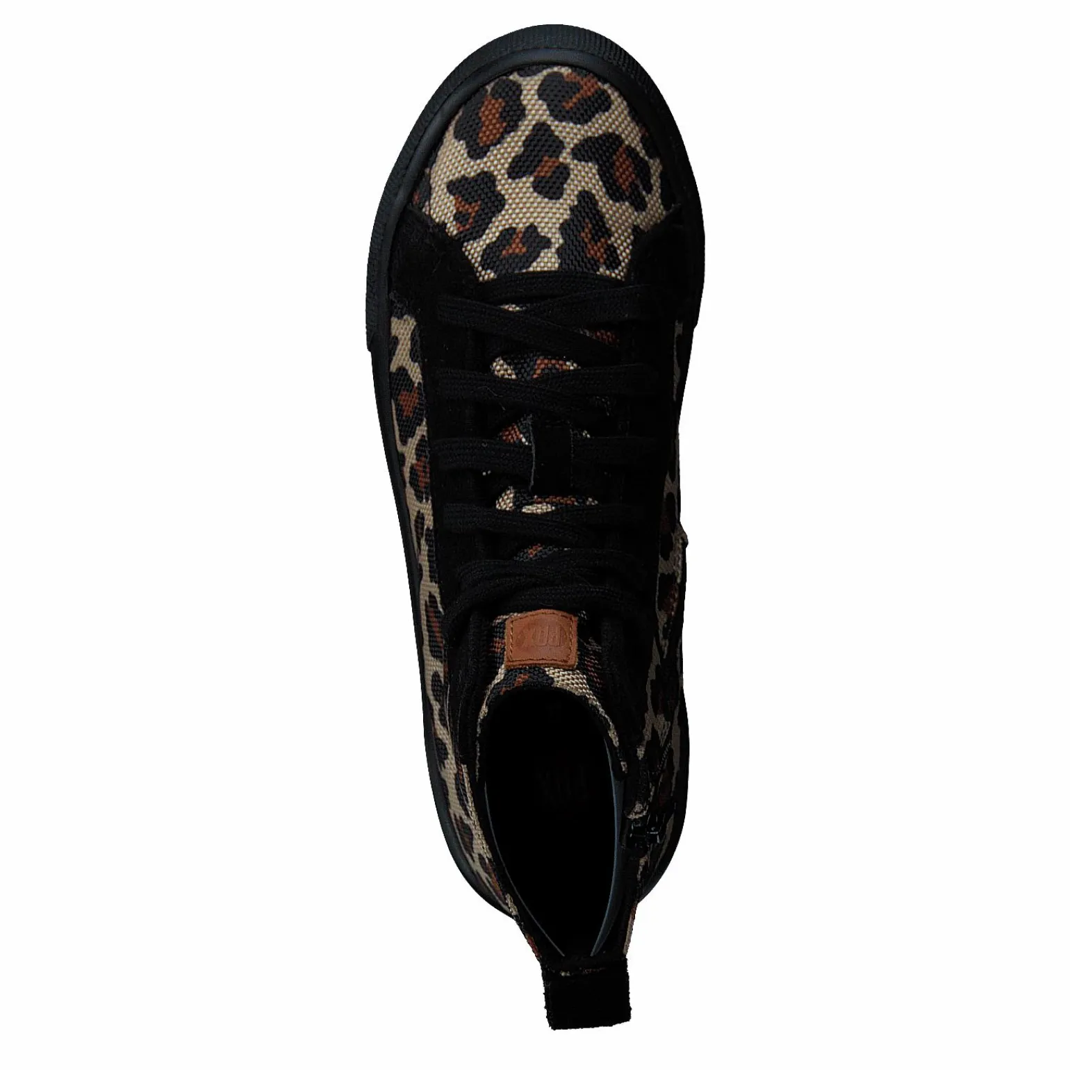 Plod Leopard