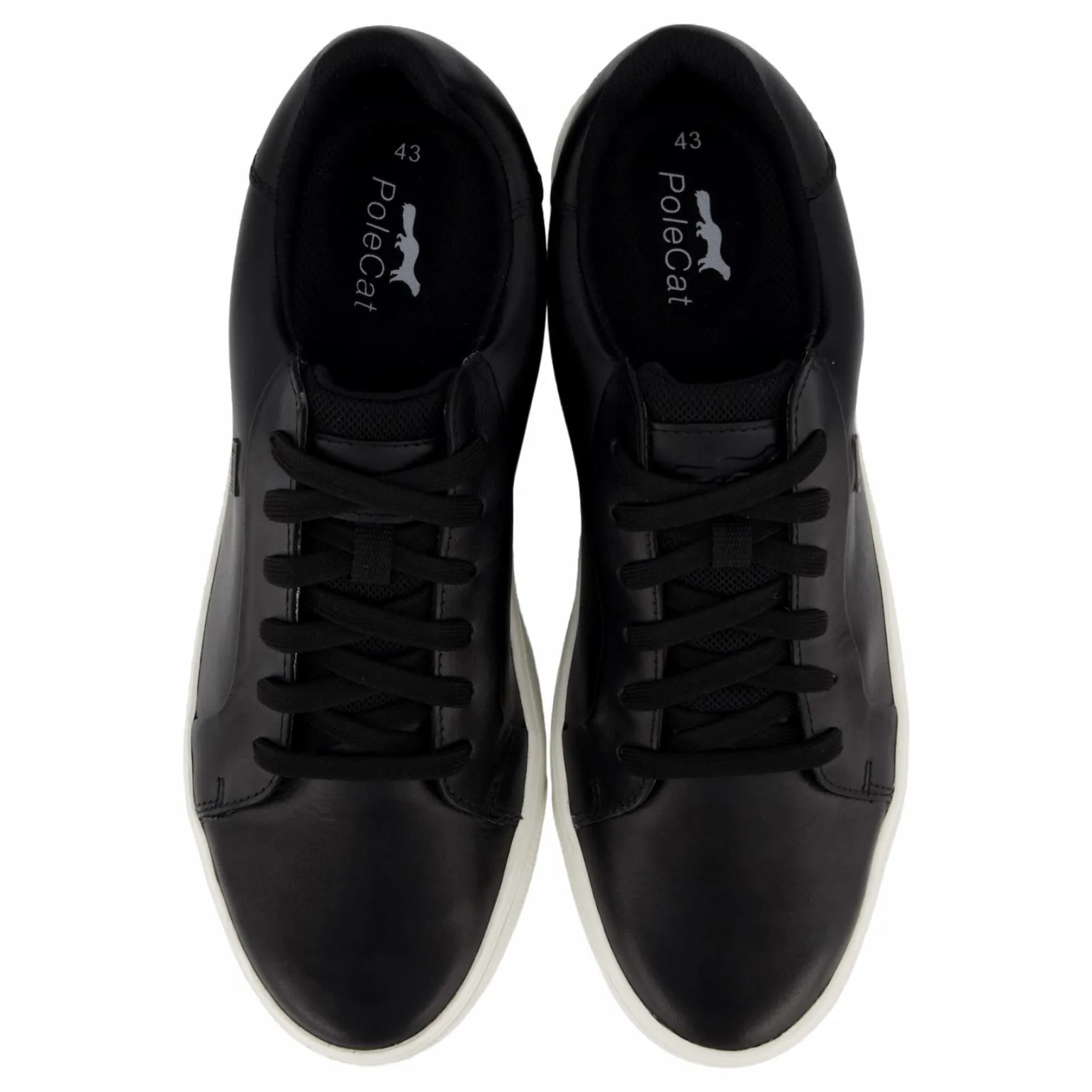 Rex Turin Gtx Black