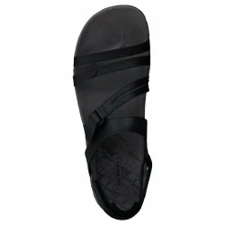 Sandspur Rose Convert Black