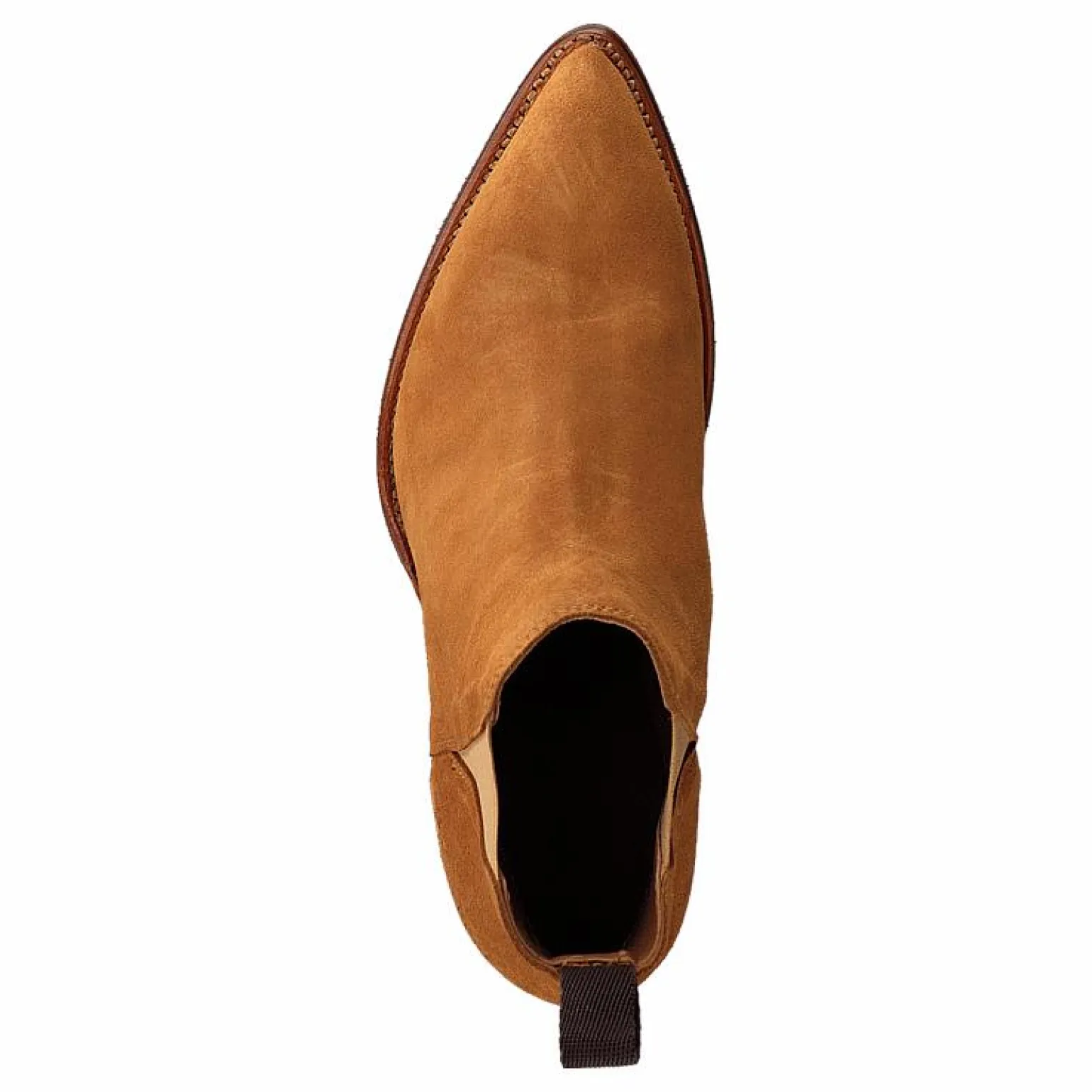 Savannah Low Afelpado Jacinto Elastic