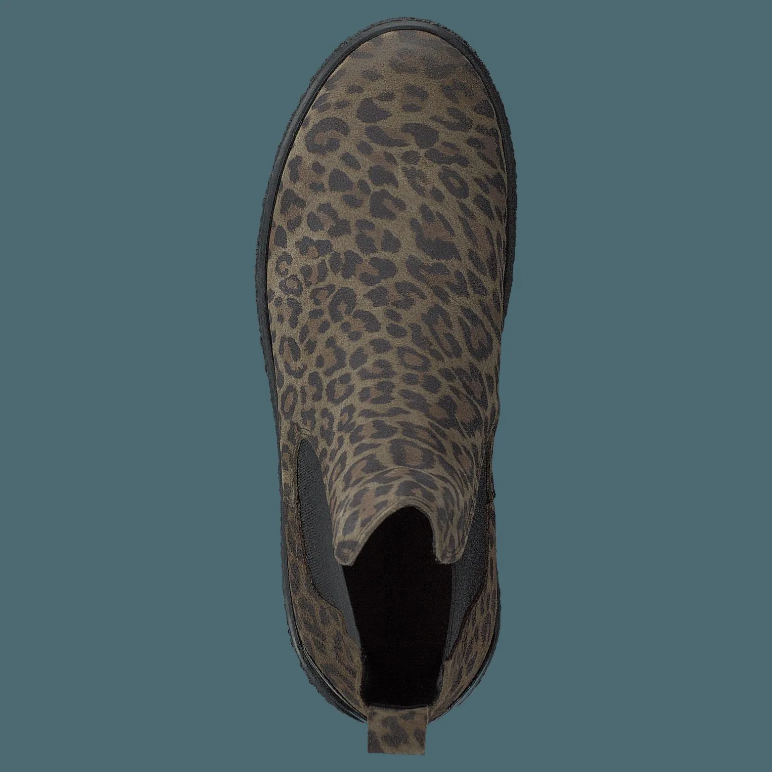 Shallow Olive Leo
