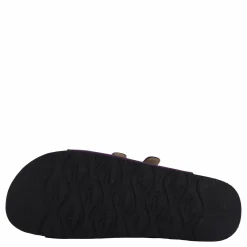 Shell Purple Heart