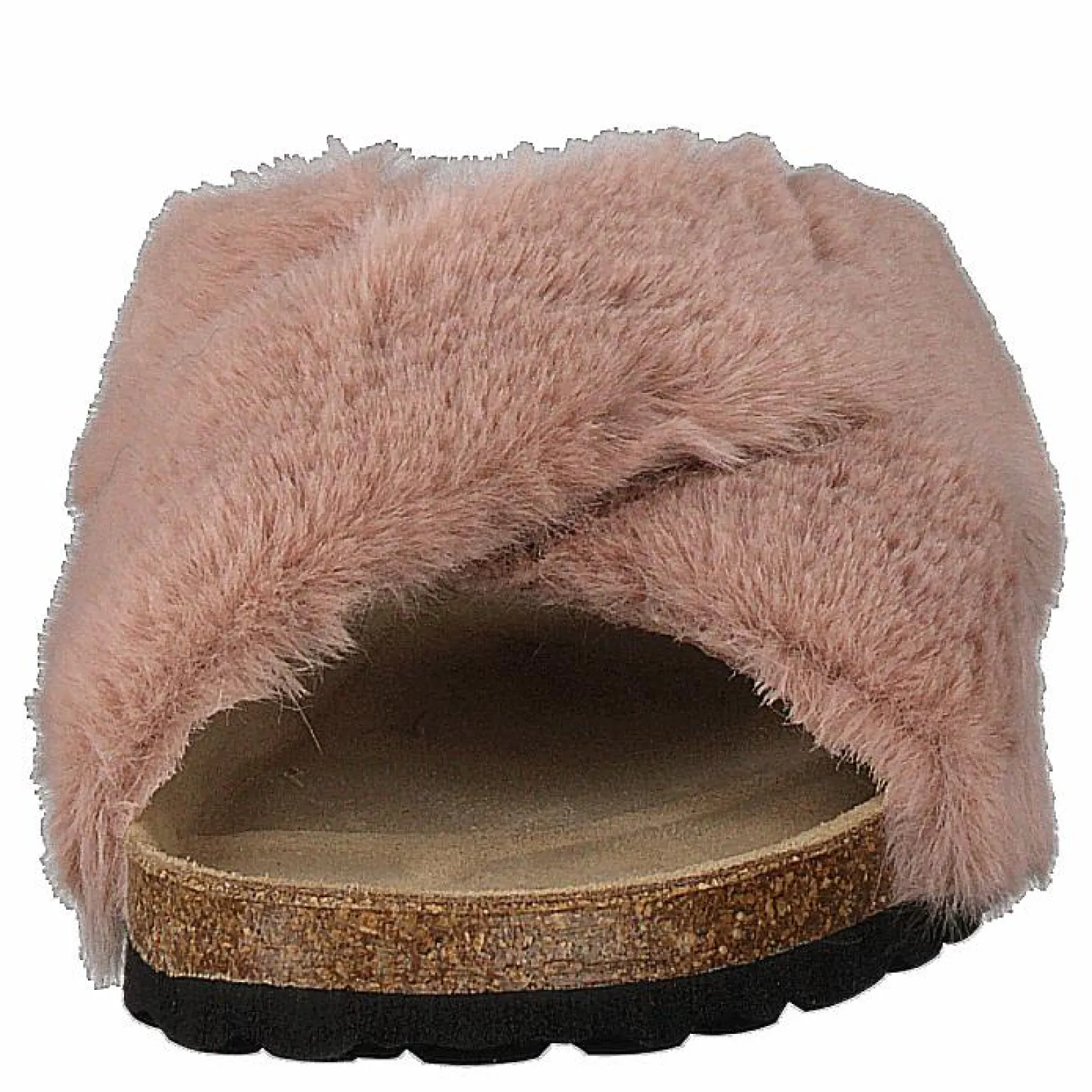 Slipper Rose