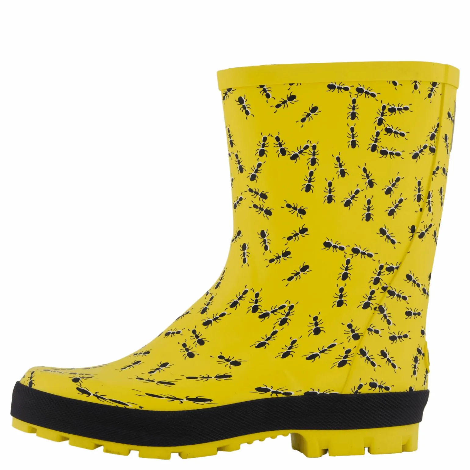Splash Yellow Ants