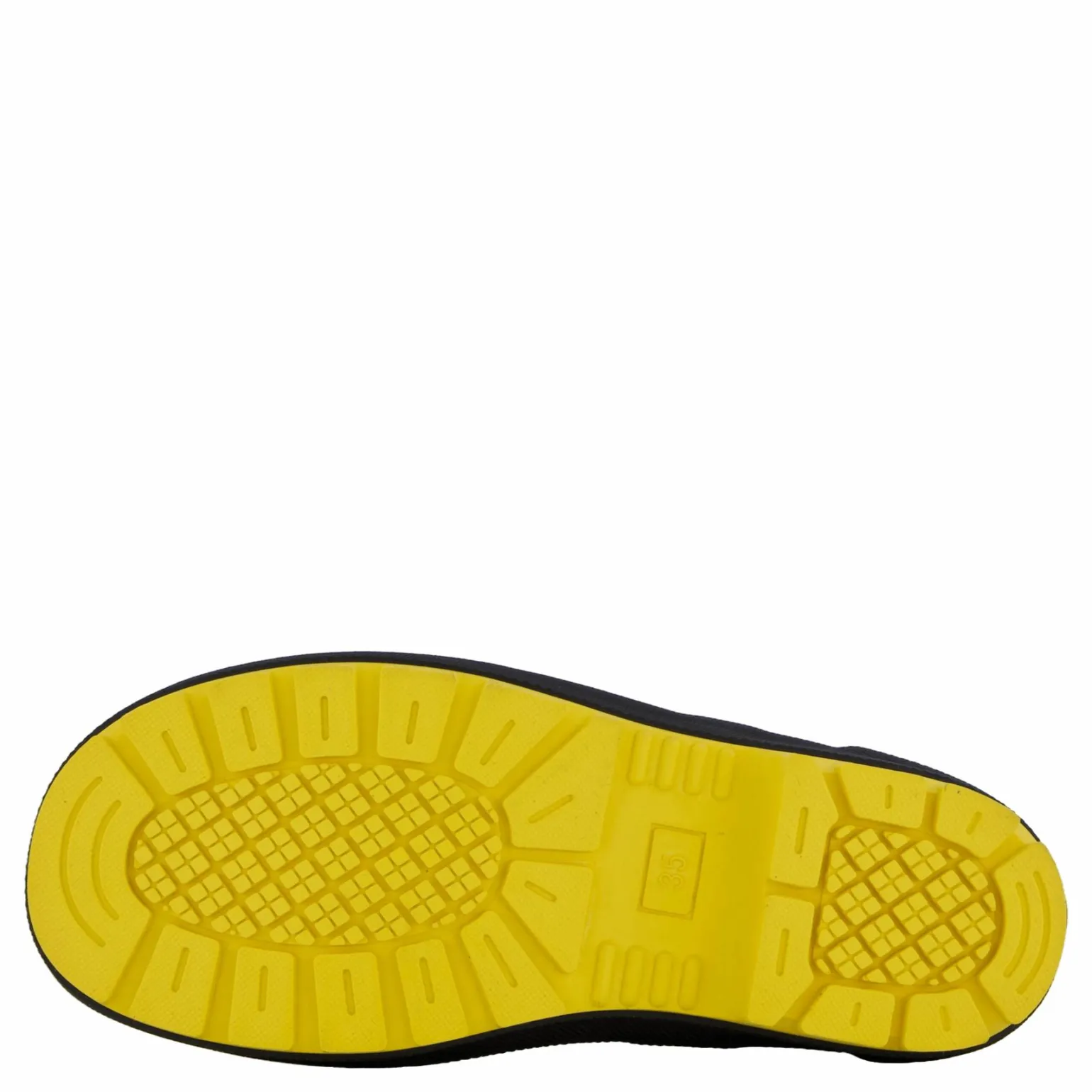 Splash Yellow Ants
