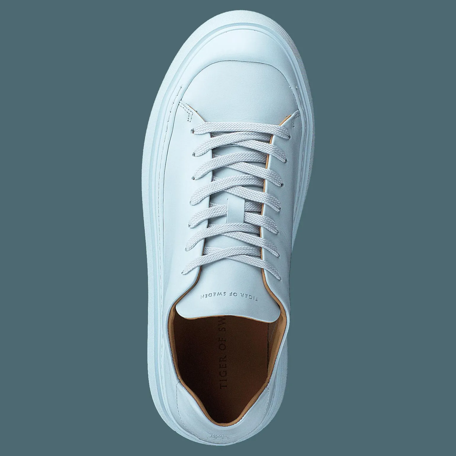 Stam Tw Light Blue