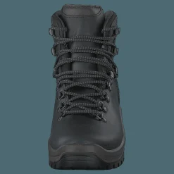 STORSOLA Dark Brown