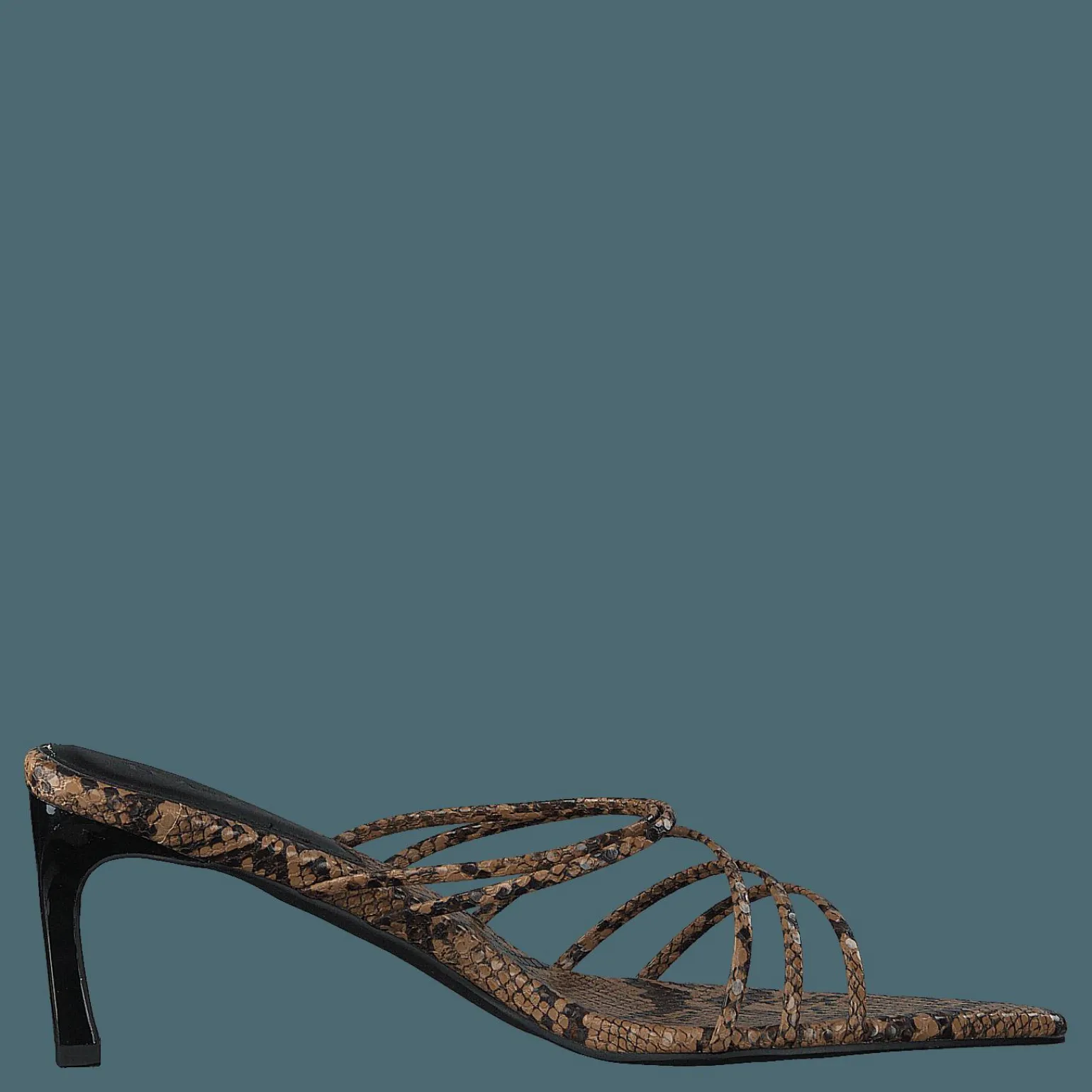Strappy Pointy Sandals Snake