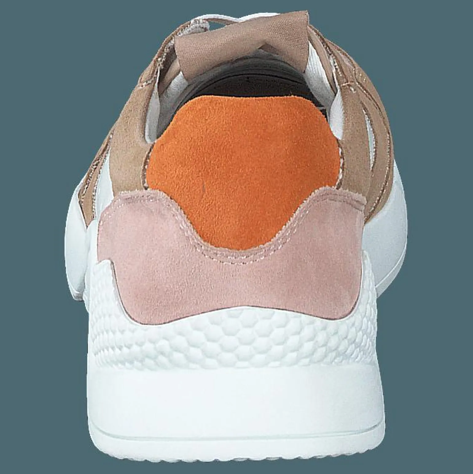 Tova Camel