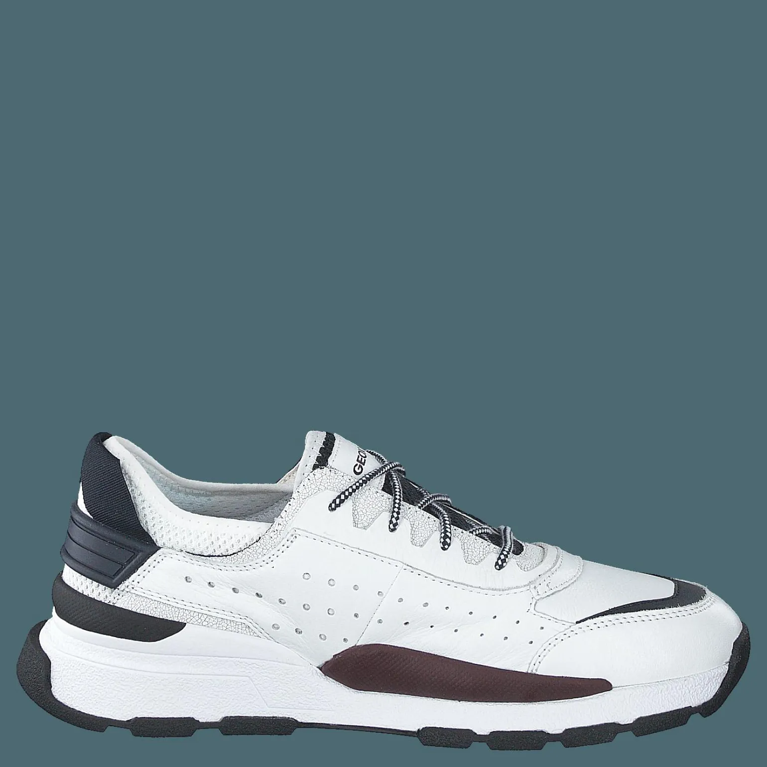 U Regale White