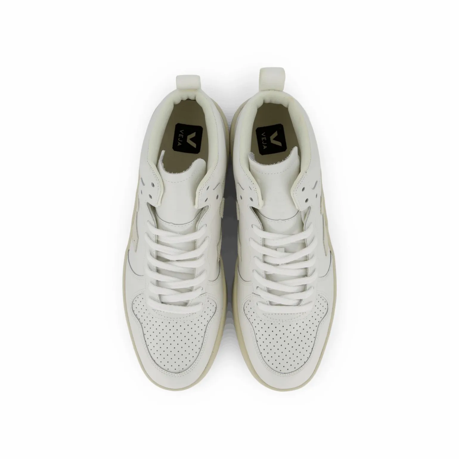 V-15 Extra-white Natural