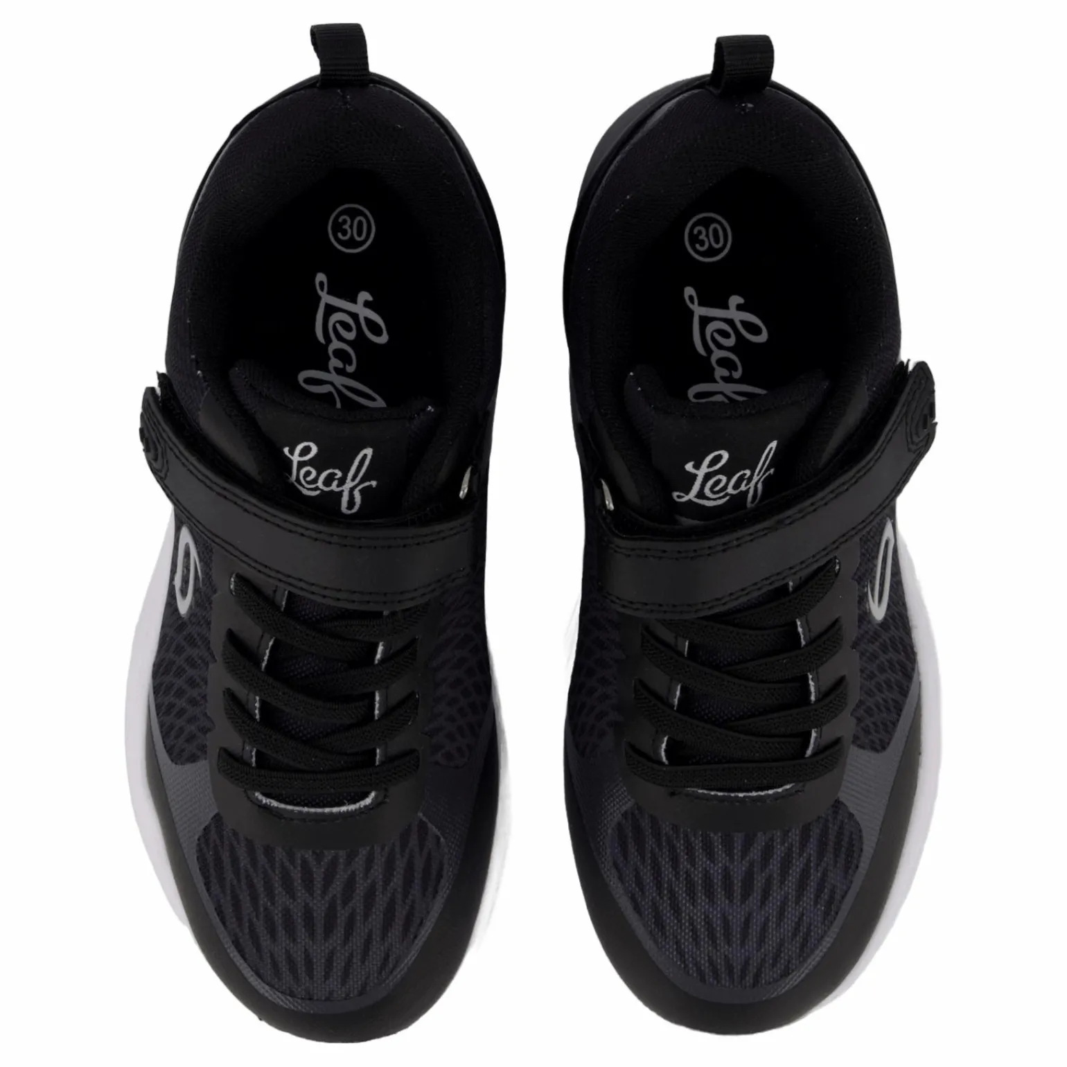 Vena Black