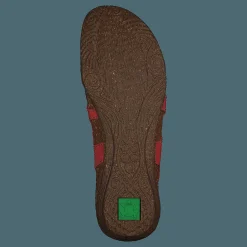 Wakataua Coral