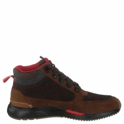 Wp Brn Distress Leat Mn Skully Brown