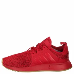 X_plr Scarle/scarle/gum3